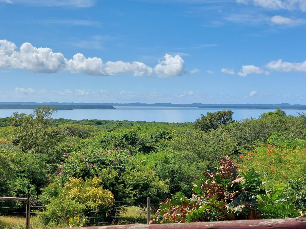The Lake House هلوهلوي المظهر الخارجي الصورة